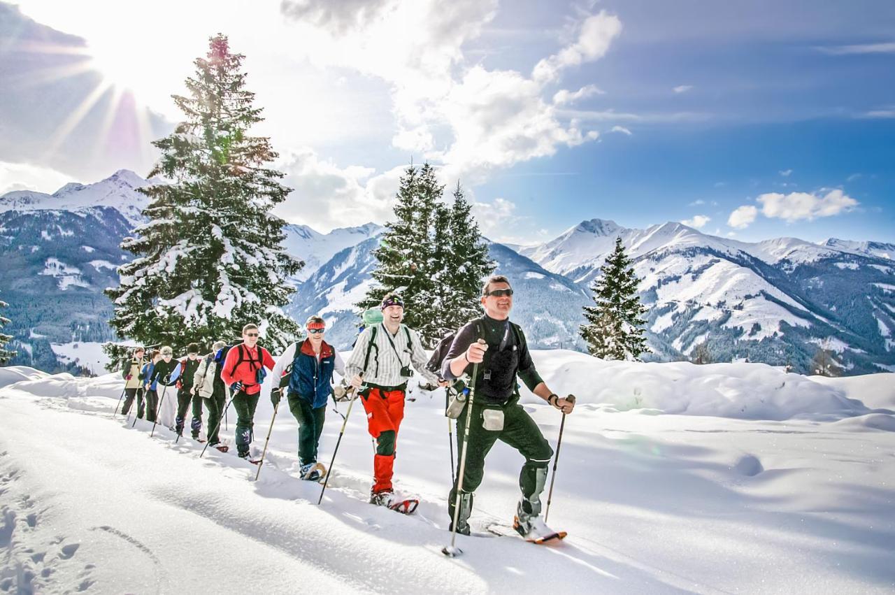 Alpen Chalets Zell Am See Нидернзил Екстериор снимка